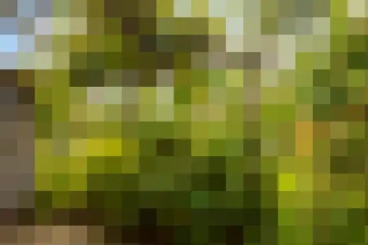 Zoom 15 15 26 Lelystad thumbnail 42