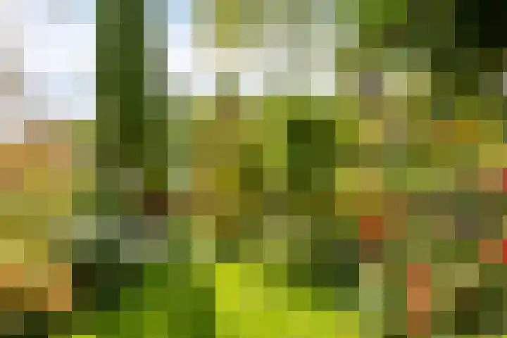 Zoom 15 15 26 Lelystad thumbnail 44