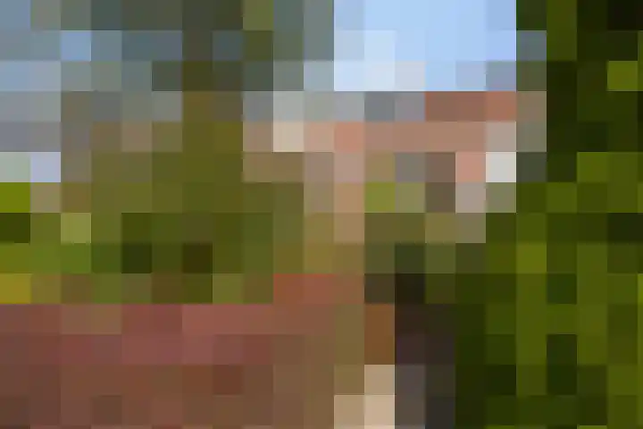 Zoom 15 15 26 Lelystad thumbnail 46