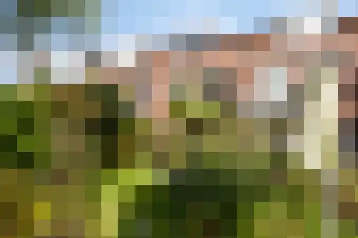 Zoom 15 15 26 Lelystad thumbnail 47