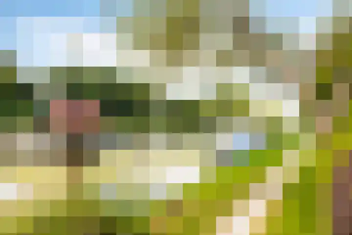 Zoom 15 15 26 Lelystad thumbnail 49