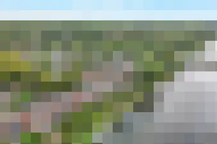Zoom 15 15 26 Lelystad thumbnail 5
