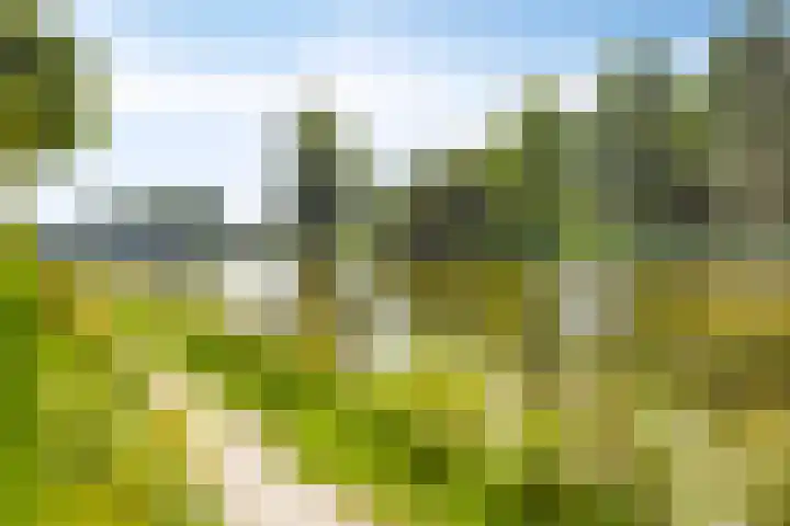 Zoom 15 15 26 Lelystad thumbnail 50