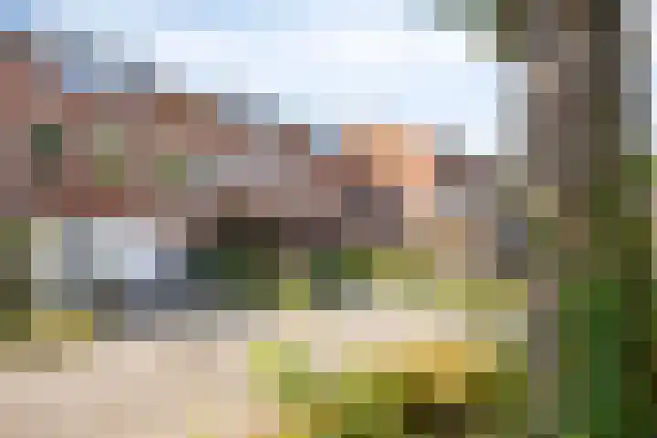 Zoom 15 15 26 Lelystad thumbnail 6