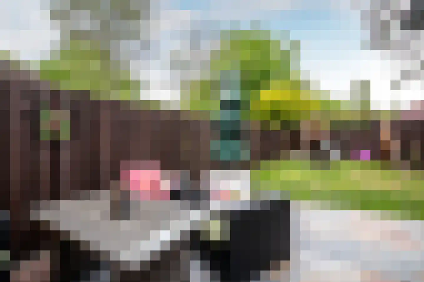 Zoom 17 41 Lelystad thumbnail 27