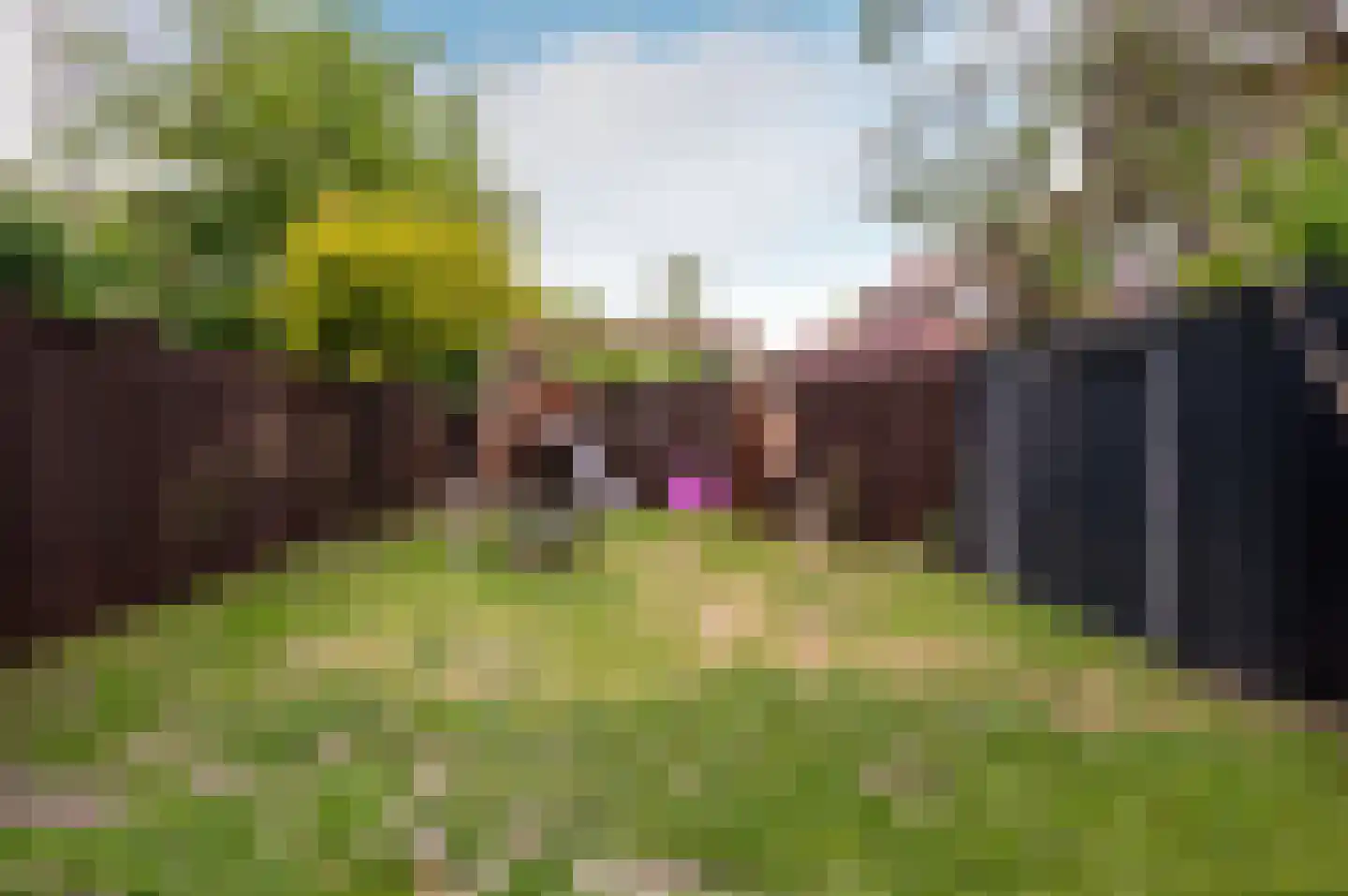 Zoom 17 41 Lelystad thumbnail 29