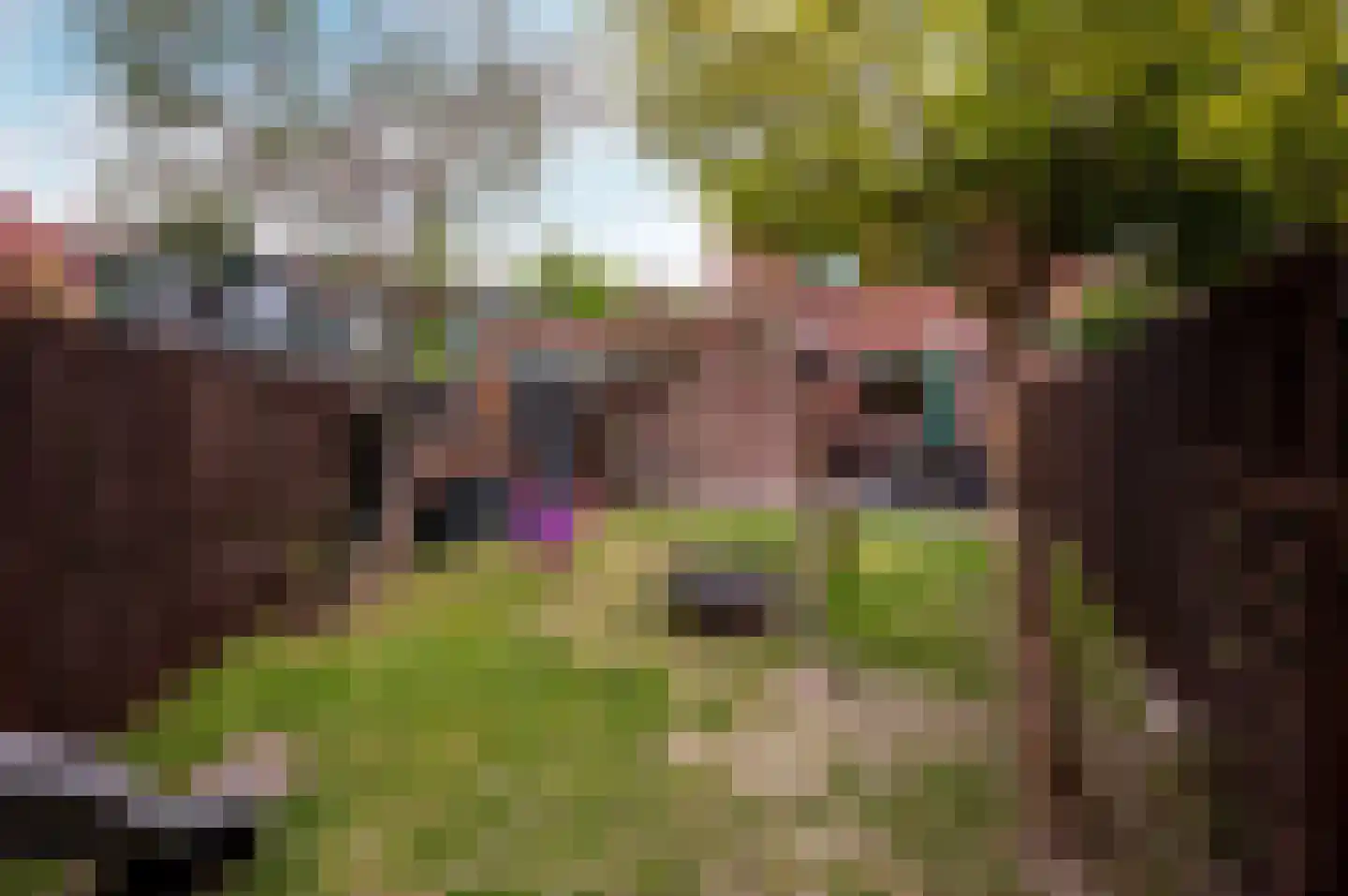 Zoom 17 41 Lelystad thumbnail 31