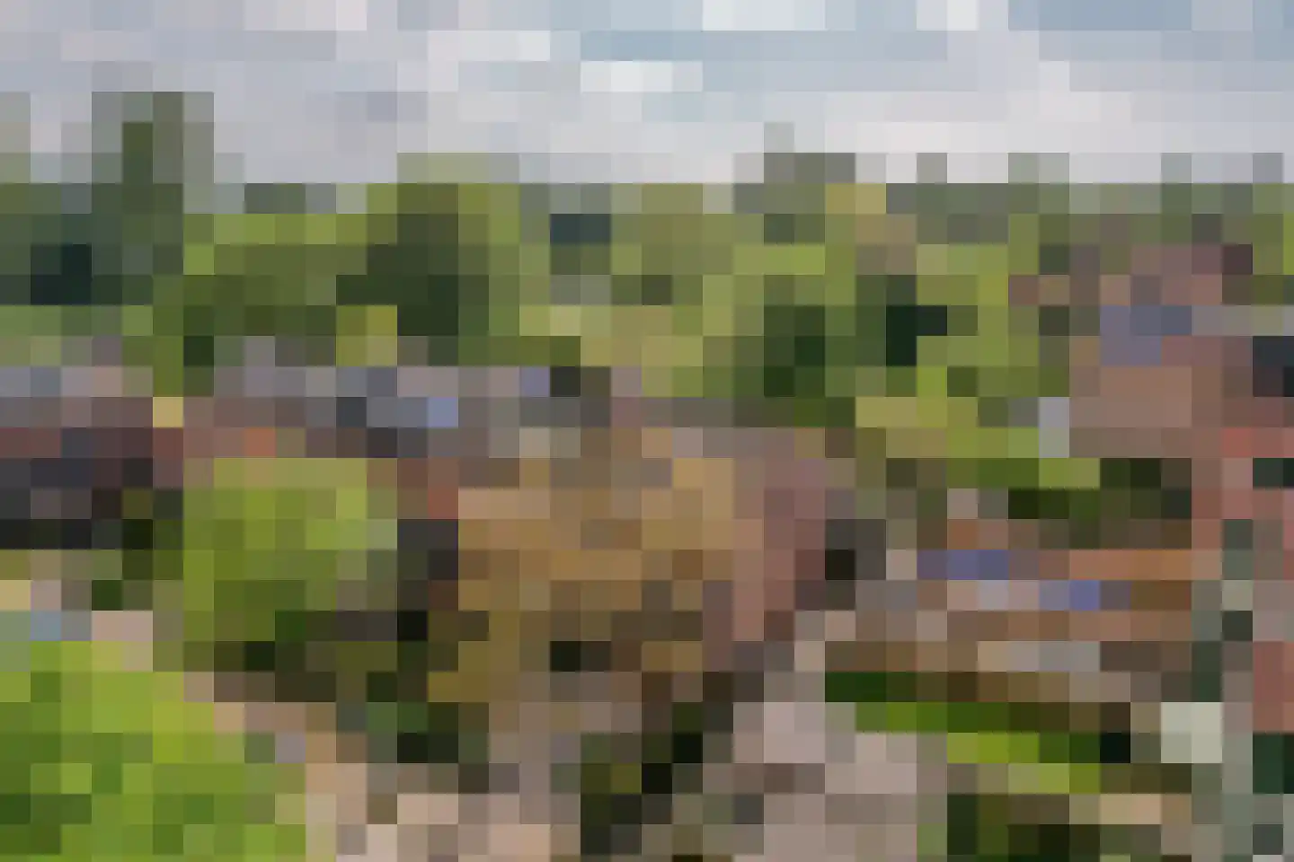 Zoom 17 41 Lelystad thumbnail 36
