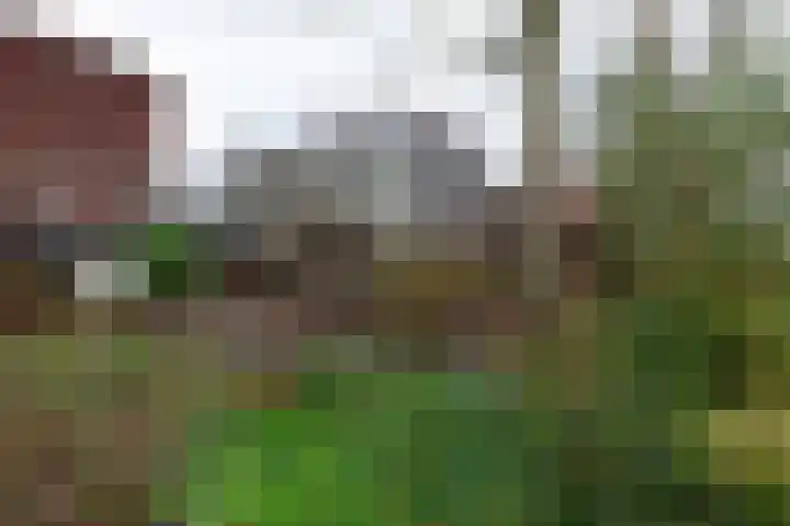 Zoom 18 18 27 Lelystad thumbnail 33