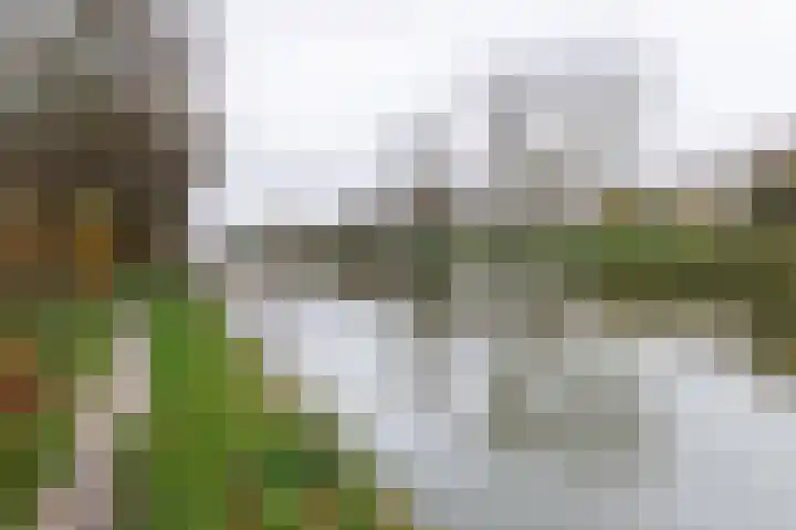 Zoom 18 18 27 Lelystad thumbnail 5