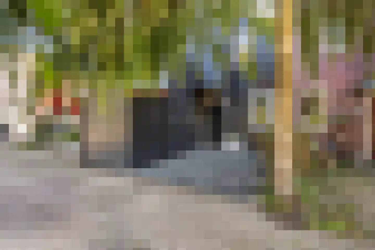Zoom 18 21 Lelystad thumbnail 11