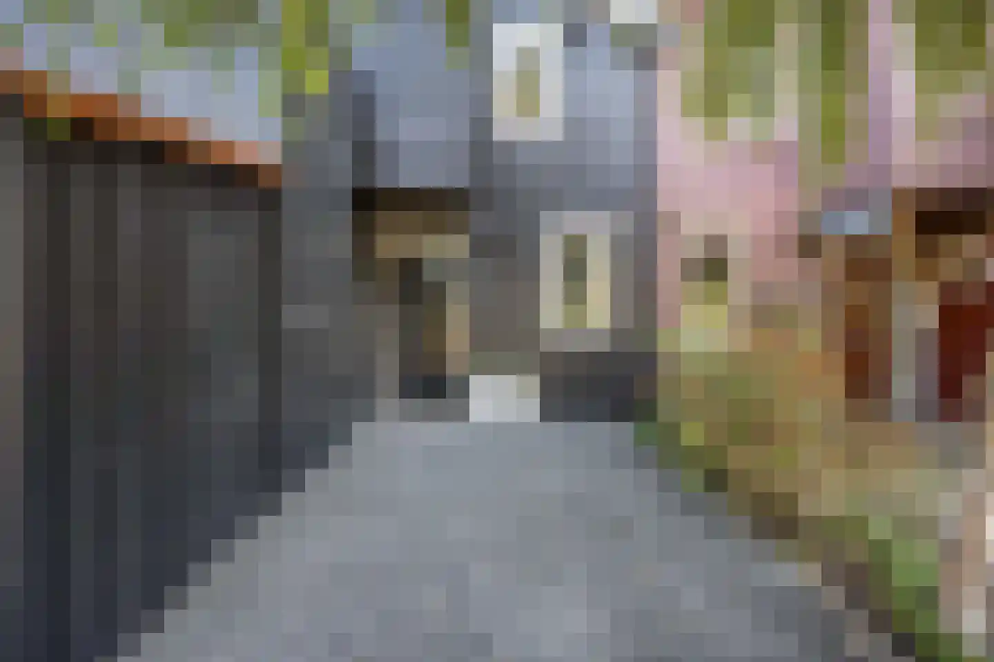 Zoom 18 21 Lelystad thumbnail 12