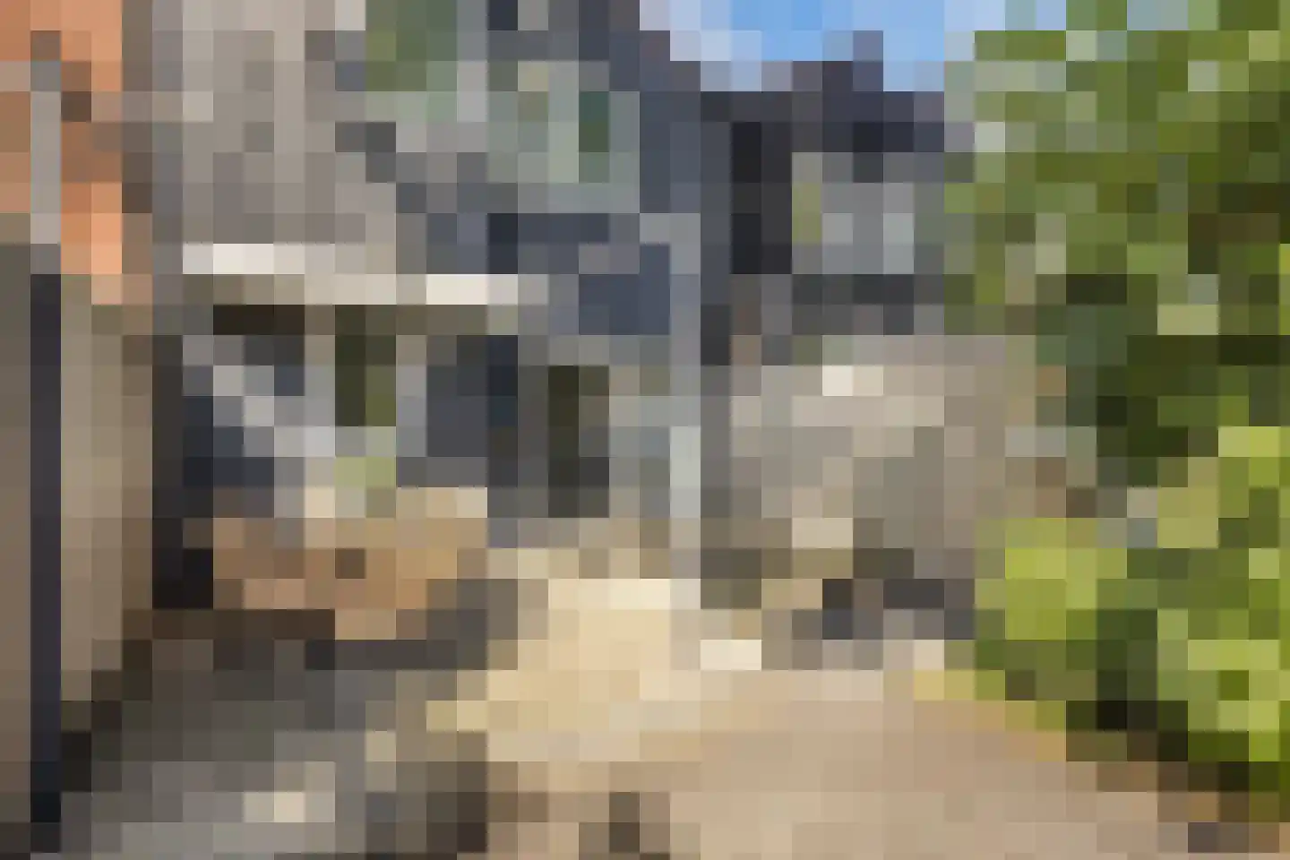 Zoom 18 21 Lelystad thumbnail 49