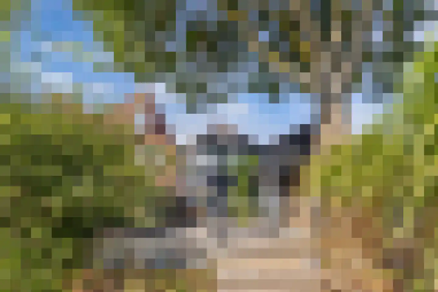 Zoom 18 21 Lelystad thumbnail 53