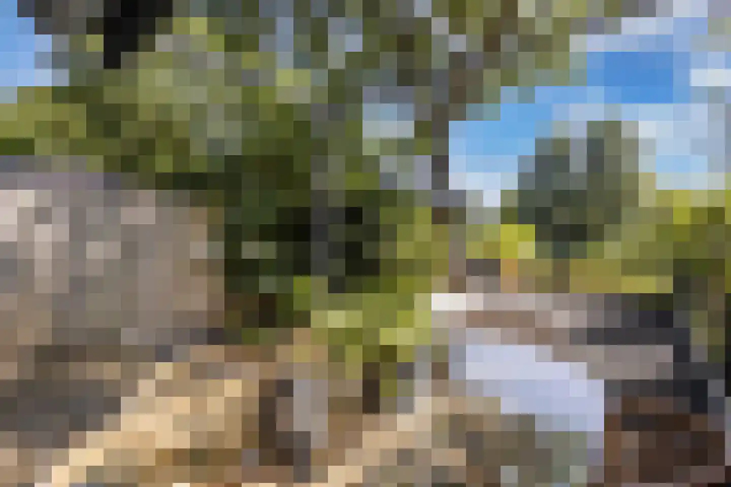 Zoom 18 21 Lelystad thumbnail 56