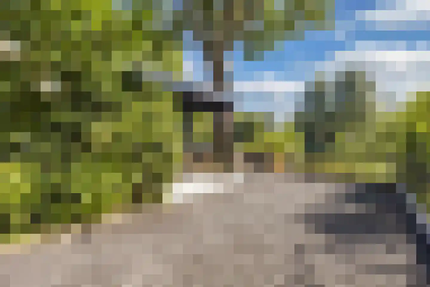Zoom 18 21 Lelystad thumbnail 57