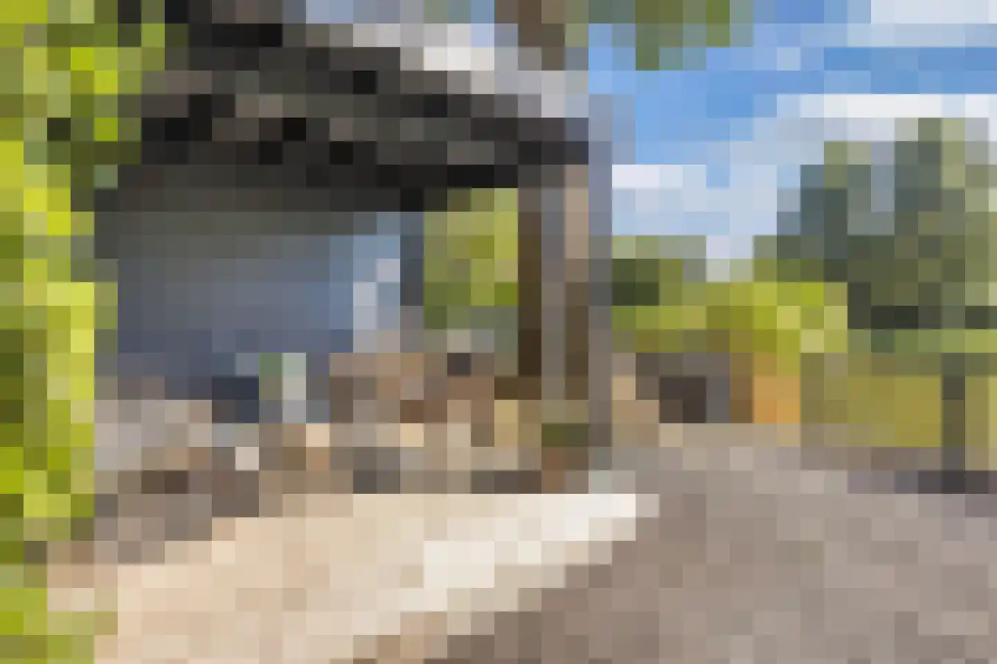 Zoom 18 21 Lelystad thumbnail 58