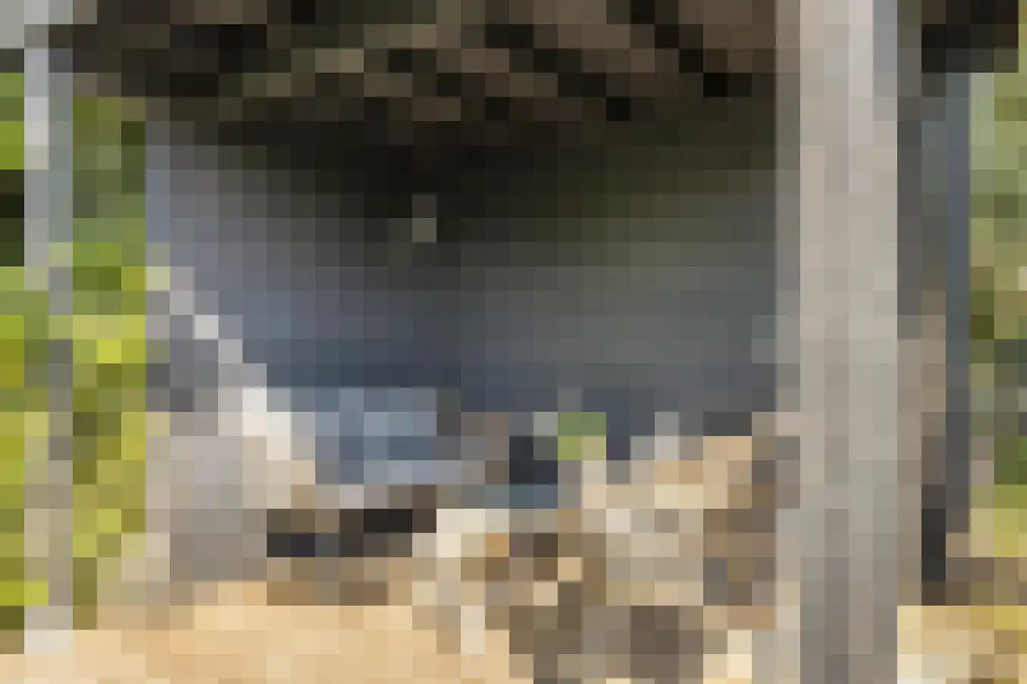 Zoom 18 21 Lelystad thumbnail 59