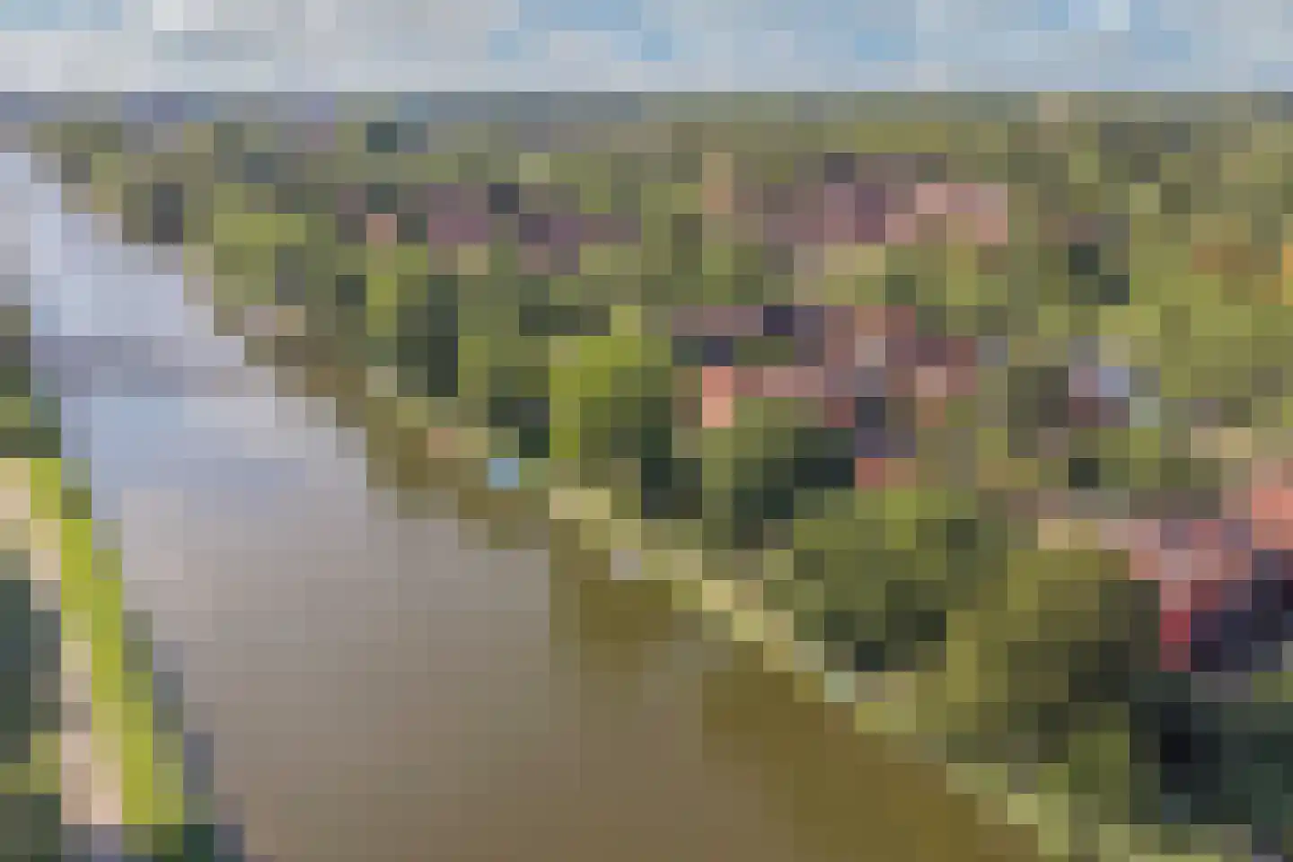 Zoom 18 21 Lelystad thumbnail 62
