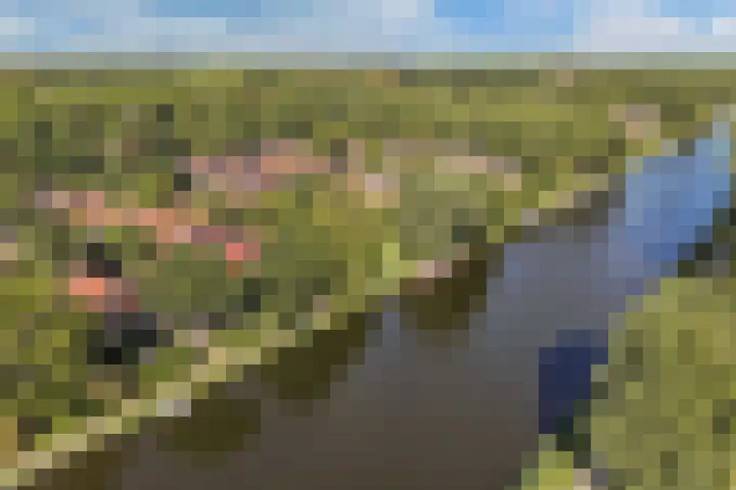 Zoom 18 21 Lelystad thumbnail 64