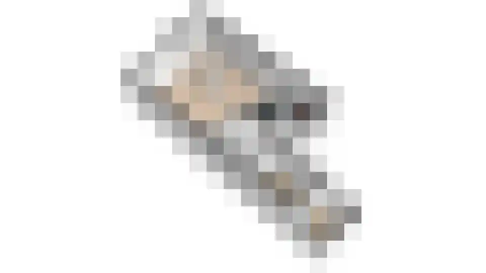 Zoom 18 21 Lelystad thumbnail 68