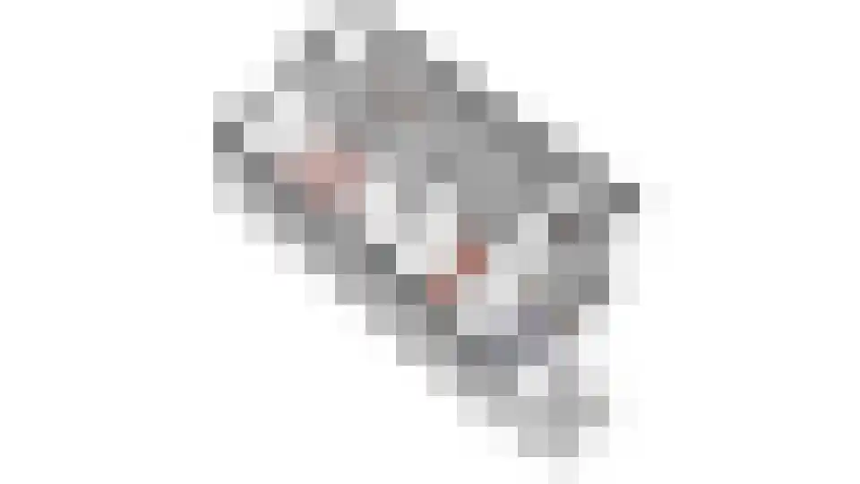 Zoom 18 21 Lelystad thumbnail 69
