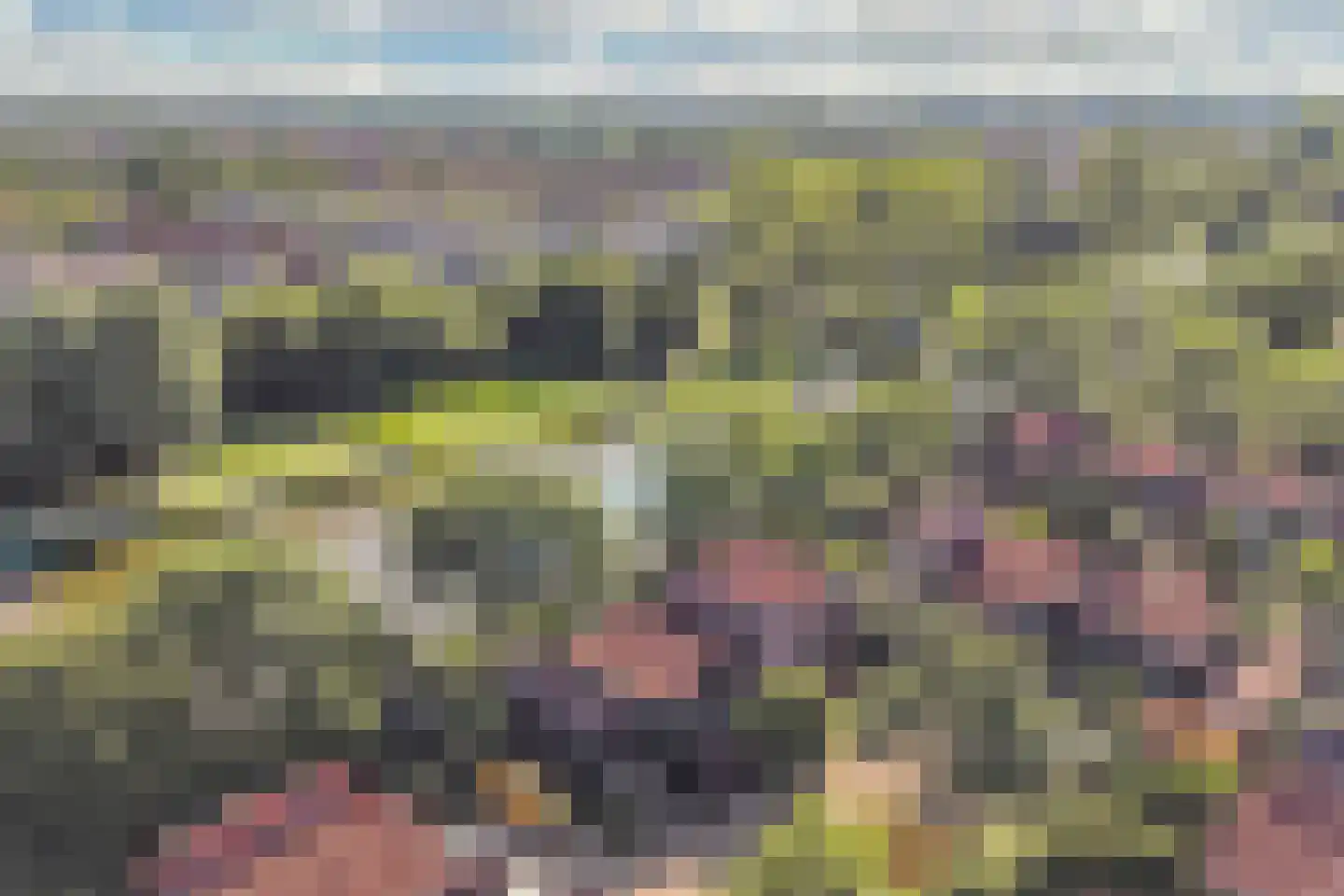 Zoom 18 21 Lelystad thumbnail 7