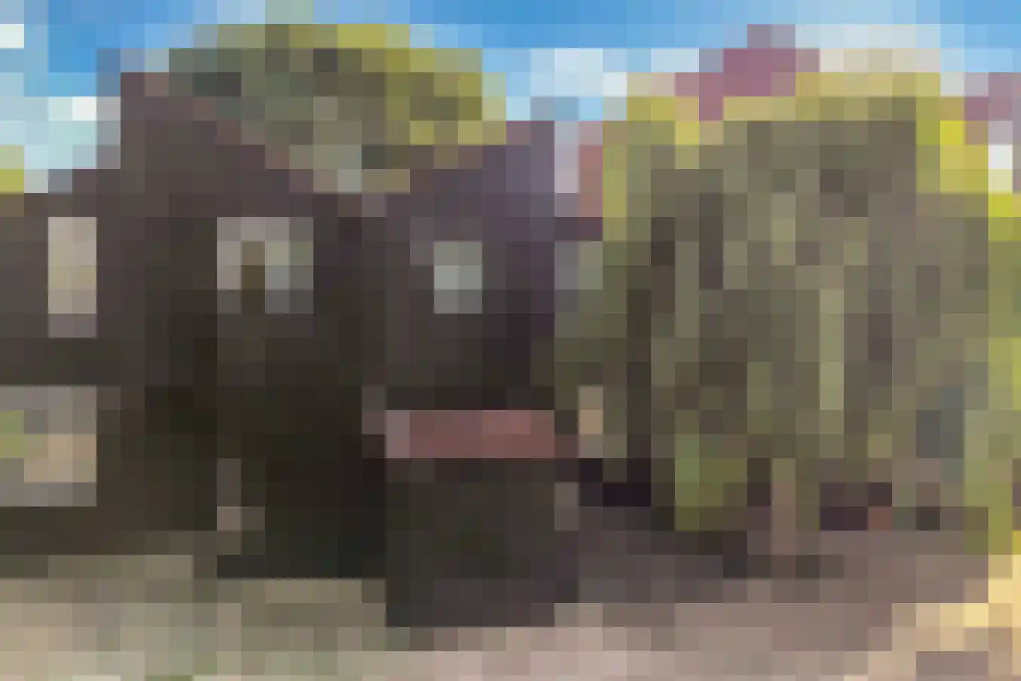 Zoom 18 21 Lelystad thumbnail 8