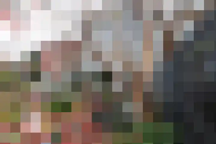 Zoom 18 27 Lelystad thumbnail 31