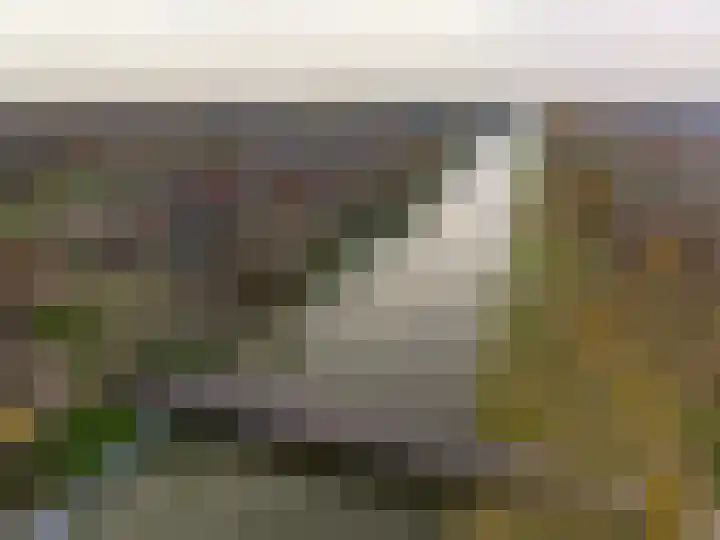 Zoom 18 27 Lelystad thumbnail 38