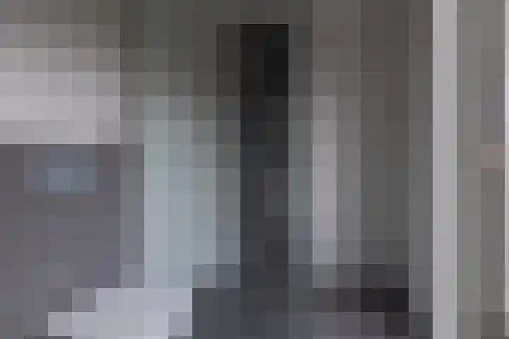 Zoom 18 27 Lelystad thumbnail 4