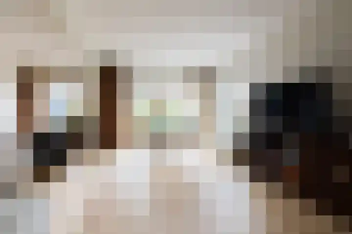 Zoom 18 27 Lelystad thumbnail 9