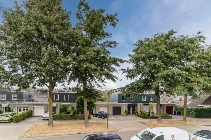 Zoom 19 Oisterwijk thumbnail 37