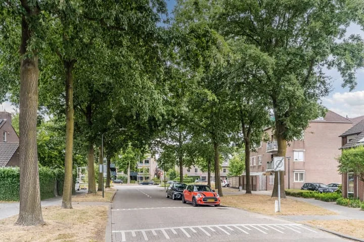 Zoom 19 Oisterwijk thumbnail 38