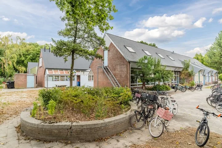 Zoom 19 Oisterwijk thumbnail 41