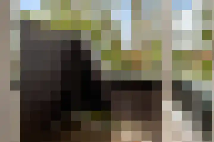 Zoom 20 20 27 Lelystad thumbnail 27
