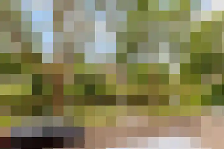 Zoom 20 20 27 Lelystad thumbnail 28