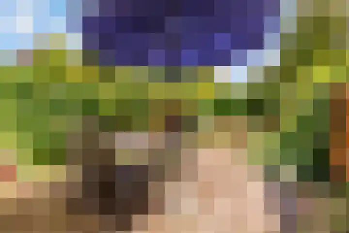 Zoom 20 20 27 Lelystad thumbnail 29