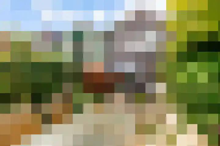 Zoom 20 20 27 Lelystad thumbnail 31