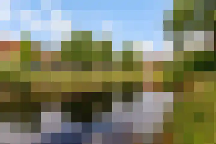 Zoom 20 20 27 Lelystad thumbnail 33