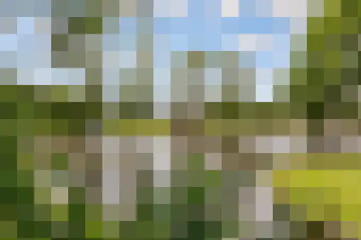 Zoom 20 20 27 Lelystad thumbnail 34