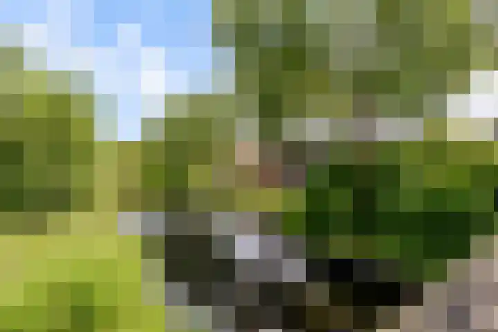 Zoom 20 20 27 Lelystad thumbnail 35