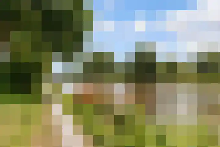 Zoom 20 20 27 Lelystad thumbnail 36