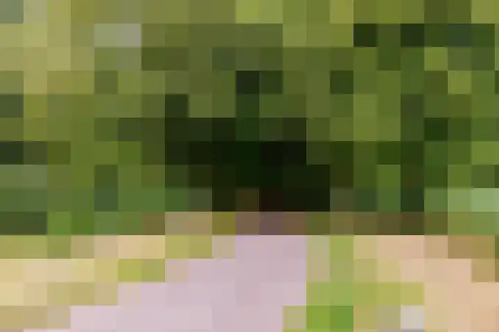 Zoom 20 20 27 Lelystad thumbnail 39