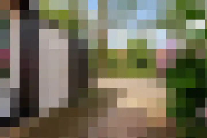 Zoom 20 20 27 Lelystad thumbnail 4
