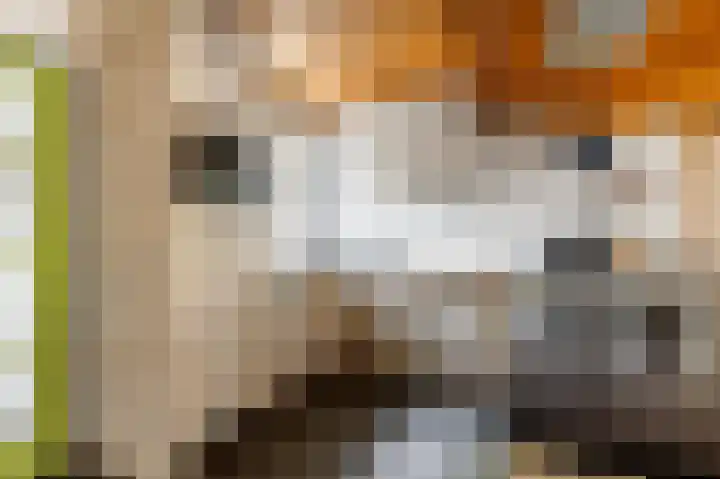 Zoom 20 27 Lelystad thumbnail 15