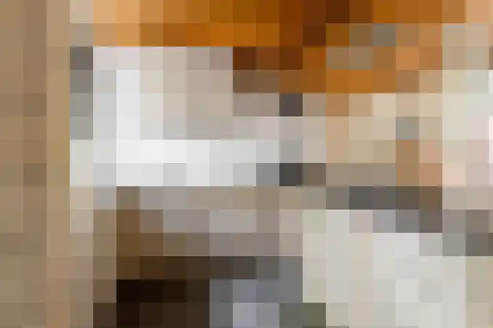 Zoom 20 27 Lelystad thumbnail 16