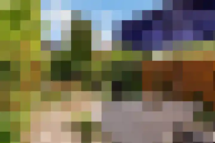 Zoom 20 27 Lelystad thumbnail 30