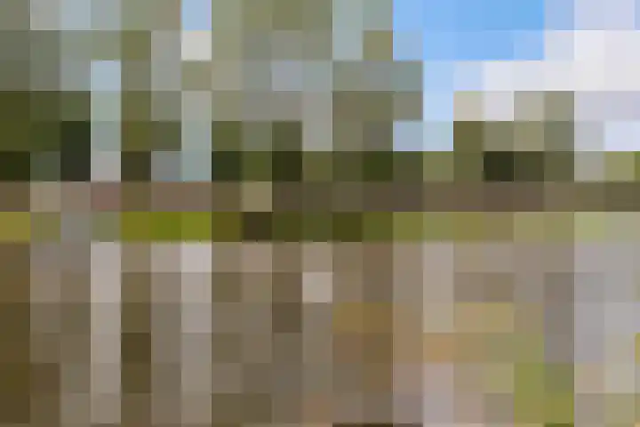 Zoom 20 27 Lelystad thumbnail 37