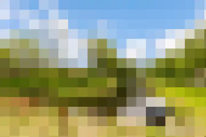 Zoom 20 27 Lelystad thumbnail 38